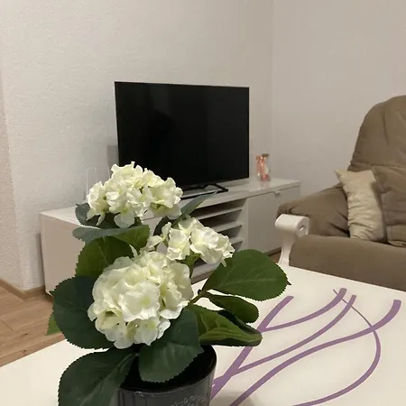 Apartman Palac アパート Grude